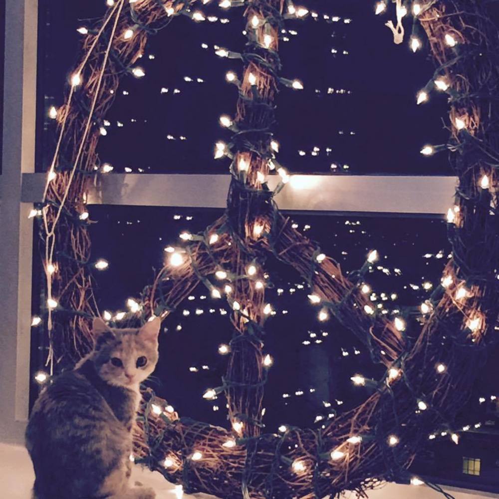 Meet your Posher, Jaye